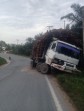 Yayasan Masyarakat Peduli Hutan dan Jalan Raya, apresiasi pemerintah akan tindak kendraan ODOL