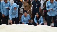 Komisi IV DPR Temukan 1.200 Ton Beras Tertimbun Setahun hingga Berubah Warna