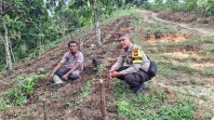 Polsek Minas Cek Kesiapan Lahan Program Ketahanan Pangan Jagung Pipil di Minas Jaya