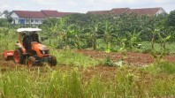 Pemerintah Gelontorkan Rp 118 Triliun untuk Ketahanan Pangan