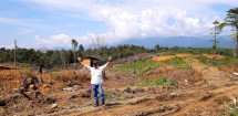 Hutan Aceh Tamiang Dibabat, Bencana Ekologi Mengintai: Mungkinkah Aceh Tamiang Menjadi Abu Dhabi Kedua?