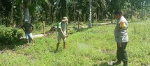 Pembersihan Lahan Penanaman Jagung Kuartal II di Kampung Rantau Bertuah, Bhabinkamtibmas Polsek Minas Lakukan Pengecekan dan Persiapan Lahan