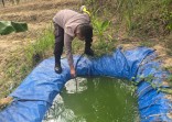 Polsek Minas Dukung Ketahanan Pangan, Kelompok Tani Minas Barat Siapkan Embung untuk Lahan Jagung