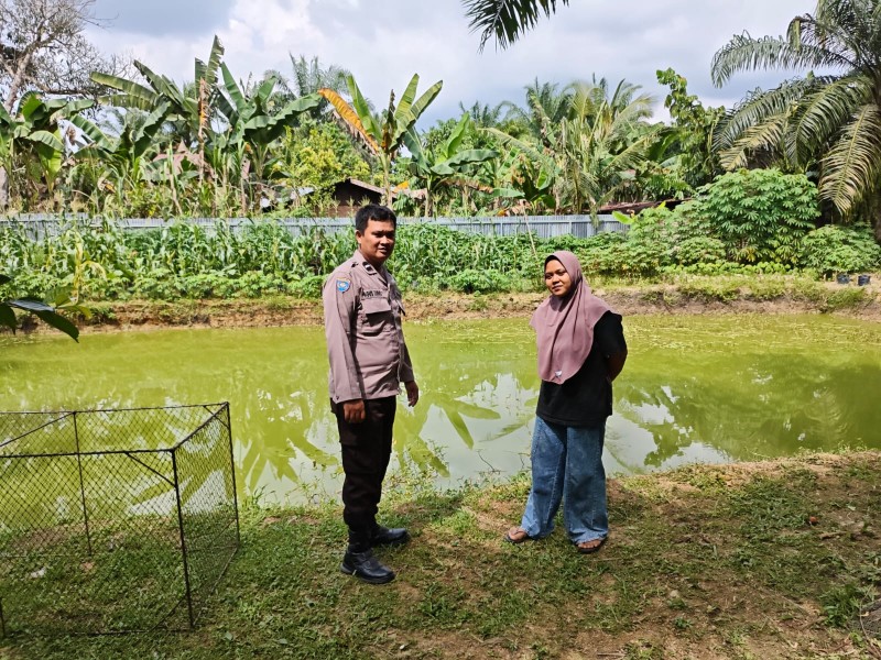 Dukung Program Ketahanan Pangan Nasional, Polsek Pasir Penyu Sambangi Warga Pemilik Kolam Ikan