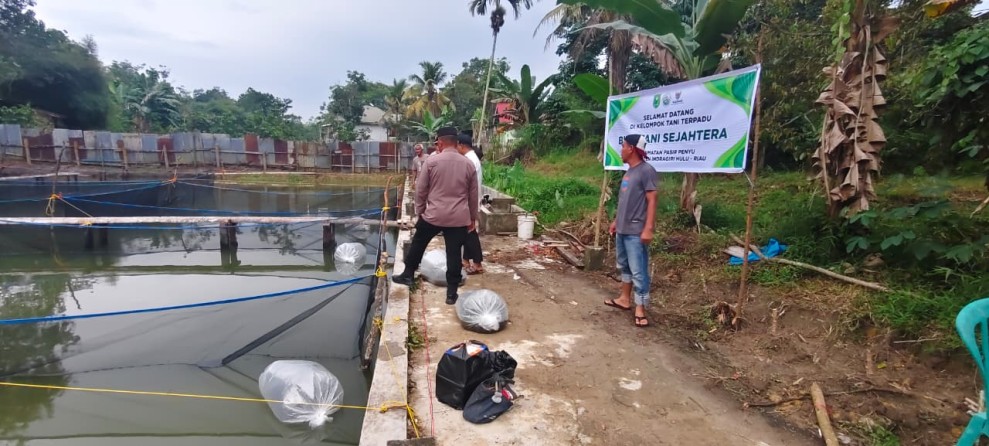 Kapolsek Pasir Penyu Dorong Budidaya Kolam Ikan Demi Perkuat Ketahanan Pangan Nasional
