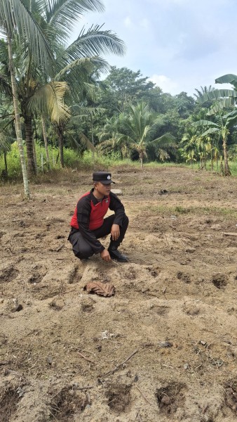 Lahan Jagung Pipil Kuartal II Mulai Disiapkan di Minas Jaya, Polsek Minas Lakukan Pengecekan Lapangan