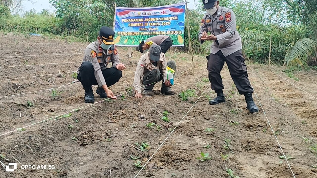 Kompol Syahrizal Pimpin Penanaman Jagung Pipil 0,5 Hektare di Minas Barat Dukung Swasembada 2026