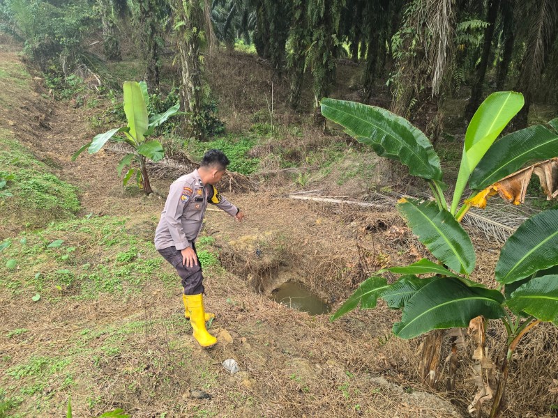 Kelompok Tani Minas Barat Siapkan Embung Air untuk Dukung Program Ketahanan Pangan Jagung