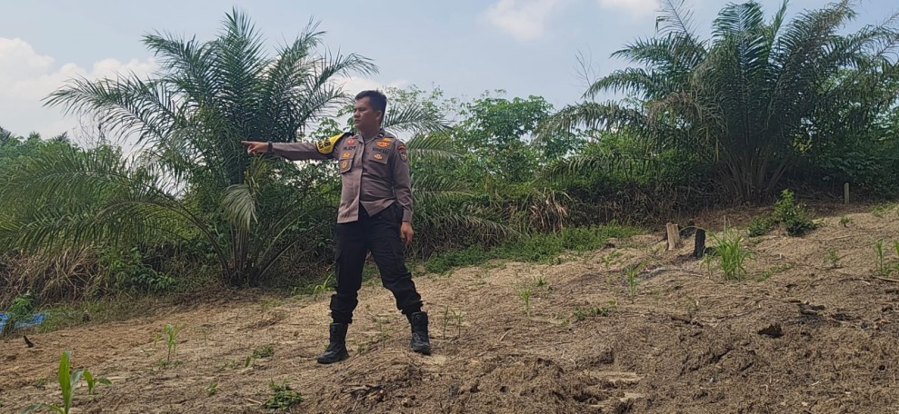 Polsek Minas Dampingi Kelompok Tani Bersihkan Lahan, Siapkan Penanaman Jagung Pipil Kuartal II
