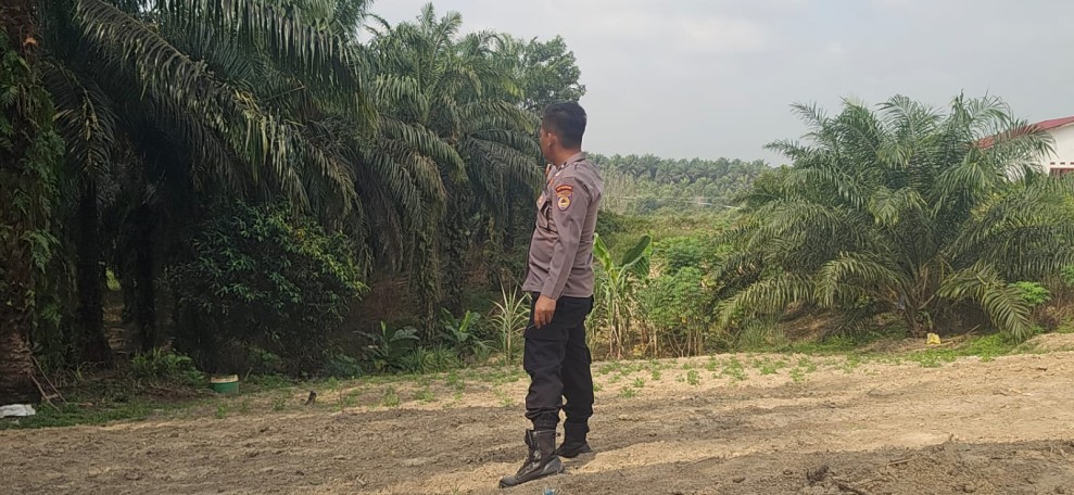 Lahan Setengah Hektare Disiapkan untuk Jagung Pipil, Polsek Minas Turun Dampingi Petani