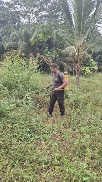 Polsek Minas Cek Calon Lahan Program Ketahanan Pangan Nasional Jagung Pipil di Minas Jaya