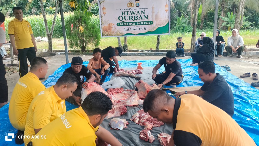 Polsek Minas Laksanakan Penyembelihan Hewan Qurban Iduladha 1447 H, Wujud Syukur dan Kepedulian Sosial kepada Masyarakat