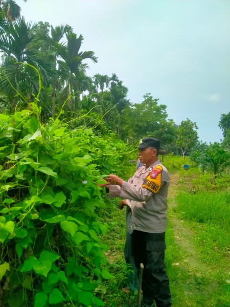 Bhabinkamtibmas Desa Pasir Bongkal Aktif Dukung Ketahanan Pangan Nasional, Warga Didorong Optimalkan Lahan Pekarangan
