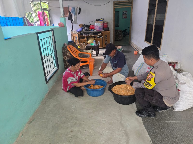 Bhabinkamtibmas Dampingi Kelompok Tani Minas Barat Lakukan Pemipilan Jagung Hasil Panen, Dukung Program Ketahanan Pangan