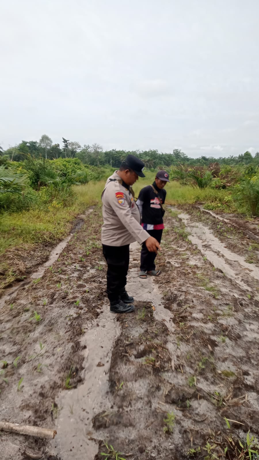 Bhabinkamtibmas Kampung Mandiangin Cek Perkembangan Jagung Pipil Usia 15 Hari, Pertumbuhan Tanaman Dinilai Cukup Baik