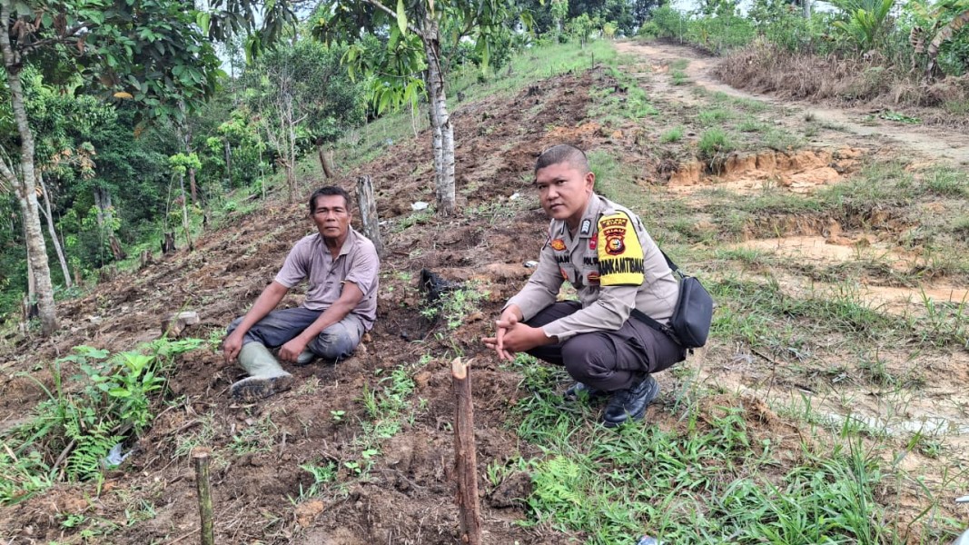 Polsek Minas Cek Kesiapan Lahan Program Ketahanan Pangan Jagung Pipil di Minas Jaya