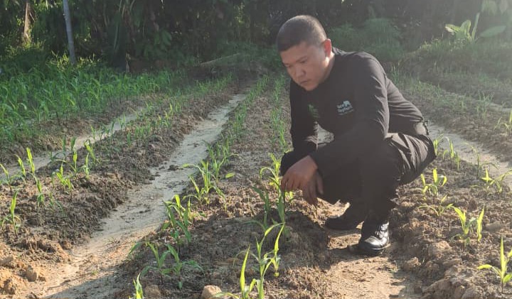 Bhabinkamtibmas Minas Jaya Cek Perkembangan Jagung Program Ketahanan Pangan Kuartal II