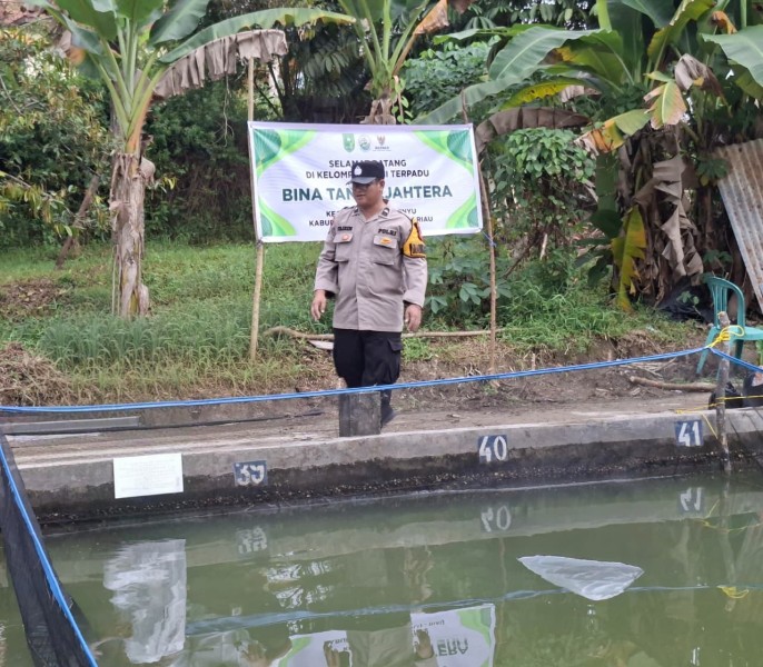 Perkuat Ketahanan Pangan Nasional, Polsek Pasir Penyu Sulap Lahan Pekarangan Jadi Kolam Ikan Produktif