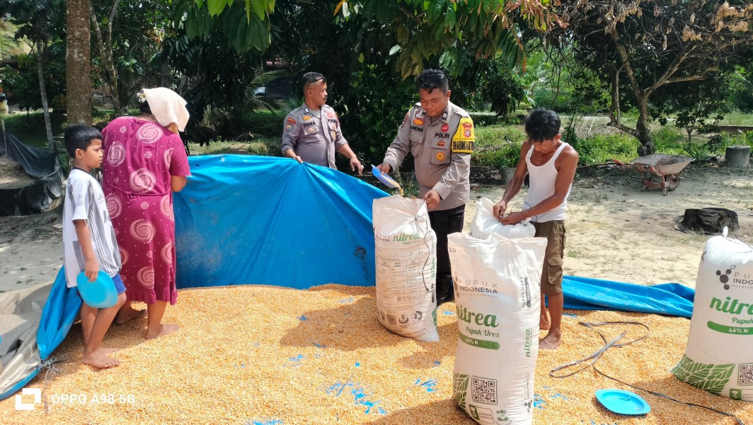 Polsek Minas Kirim 804,3 Kilogram Jagung Pipil ke Gudang Bulog Pekanbaru, Dukung Program Ketahanan Pangan Nasional