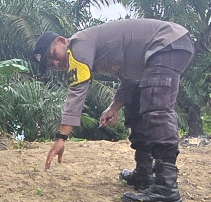 Dukung Ketahanan Pangan, Polsek Minas Dampingi Kelompok Tani Bersihkan Lahan Jagung Pipil di Minas Barat