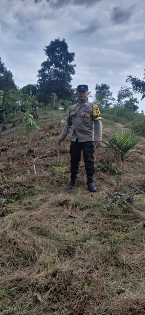Bhabinkamtibmas Minas Jaya Lakukan Pengecekan Calon Lahan Jagung Pipil Program Ketahanan Pangan Kuartal II