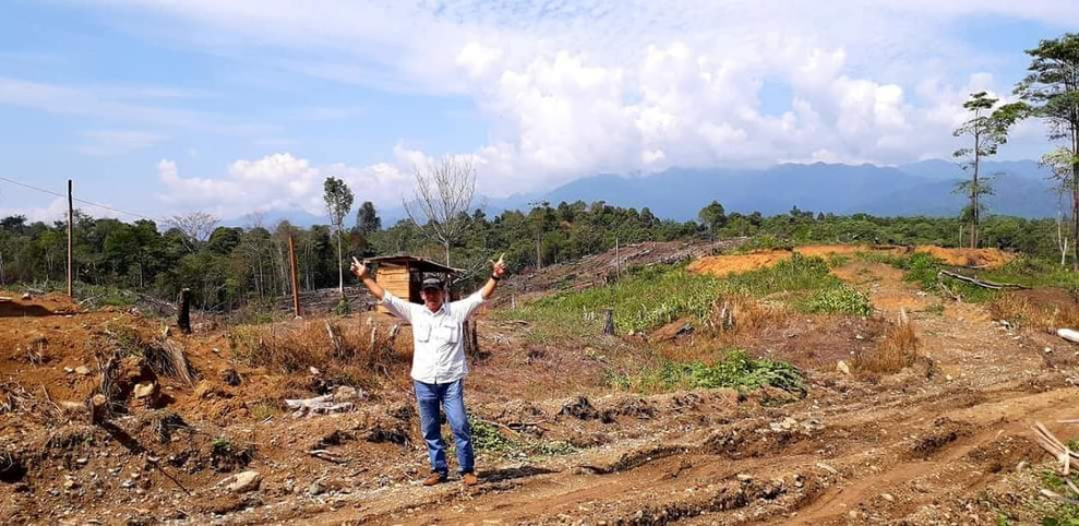Hutan Aceh Tamiang Dibabat, Bencana Ekologi Mengintai: Mungkinkah Aceh Tamiang Menjadi Abu Dhabi Kedua?