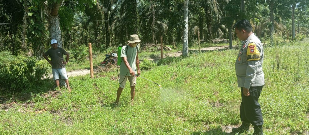 Pembersihan Lahan Penanaman Jagung Kuartal II di Kampung Rantau Bertuah, Bhabinkamtibmas Polsek Minas Lakukan Pengecekan dan Persiapan Lahan