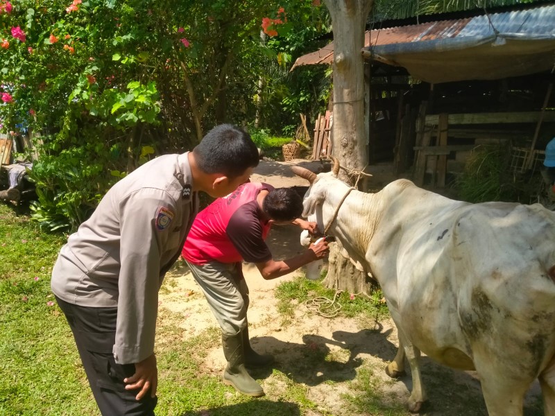 Bhabinkamtibmas Polsek Pasir Penyu Dorong Warga Manfaatkan Pekarangan untuk Perkuat Ketahanan Pangan